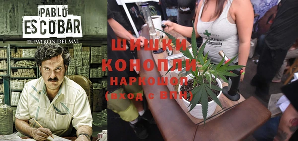 ECSTASY Бронницы