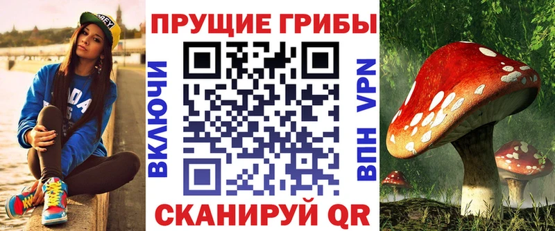 Псилоцибиновые грибы мухоморы  где купить наркоту  Севастополь 